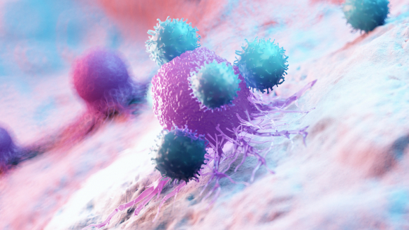 Immune cells attacking a tumor
